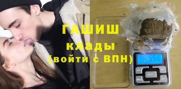 ГАЛЛЮЦИНОГЕННЫЕ ГРИБЫ Верея