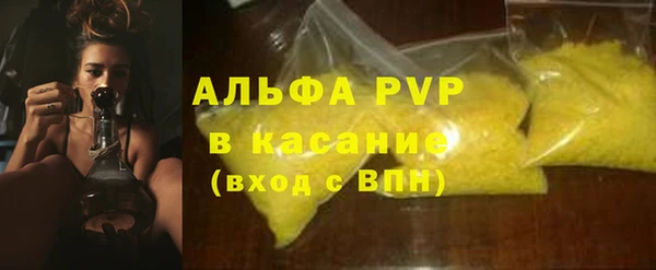 ГАЛЛЮЦИНОГЕННЫЕ ГРИБЫ Верея