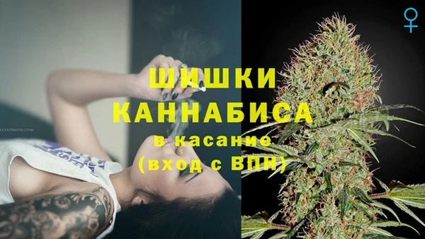 ГАЛЛЮЦИНОГЕННЫЕ ГРИБЫ Верея