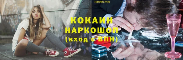 ГАЛЛЮЦИНОГЕННЫЕ ГРИБЫ Верея
